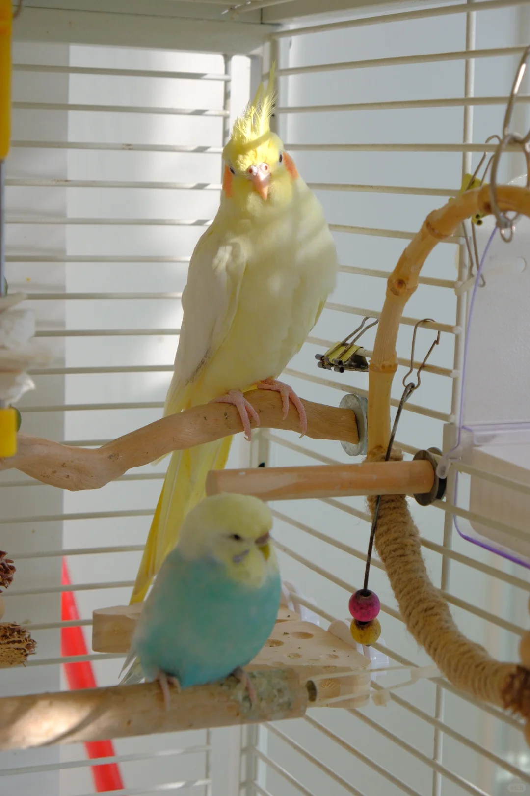 宝宝你仿佛在发光～