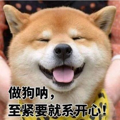 超七成养宠人希望带宠物出行五花八门的出行规定曾劝退好多人，如今不用四处翻找攻略，