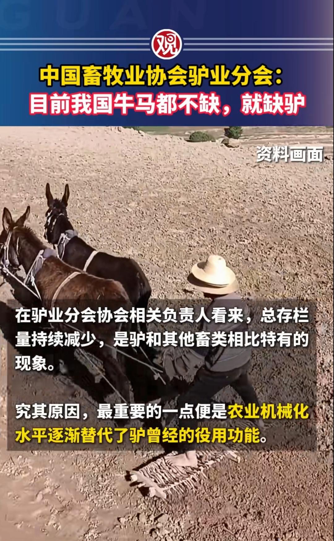 看到这个新闻我笑了。
果然，驴比较倔，牛马最老实，所以职场上只剩下牛马的身影。