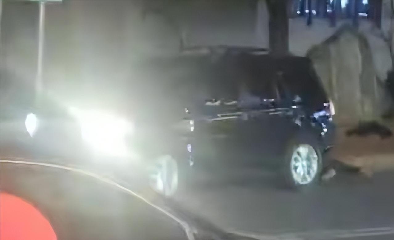 这就是冲动的后果！河南许昌，男子酒后坐在车上等司机来接，四名男子错上了他的路虎车