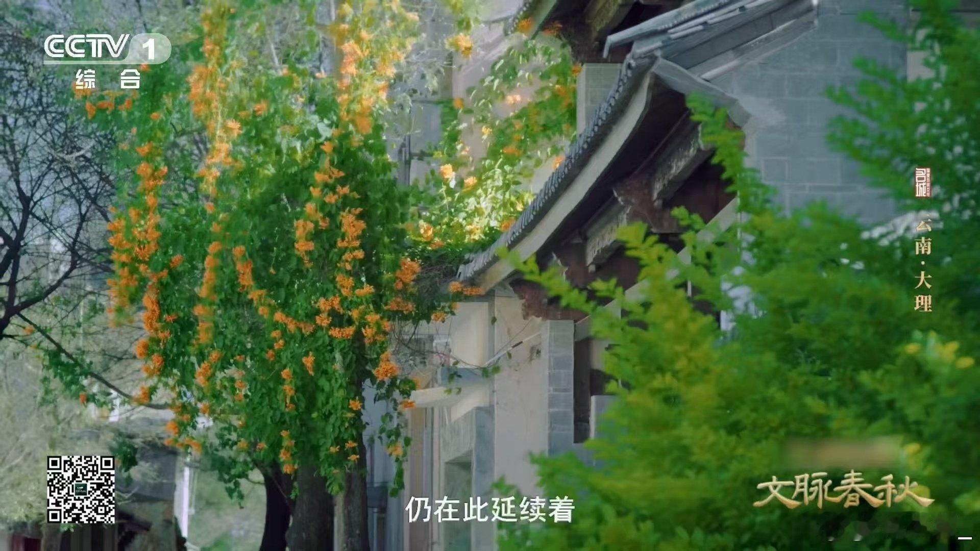 大理1200多年的古井藏着节水智慧 谁懂啊！1200年的井水还能清澈见底，古人靠
