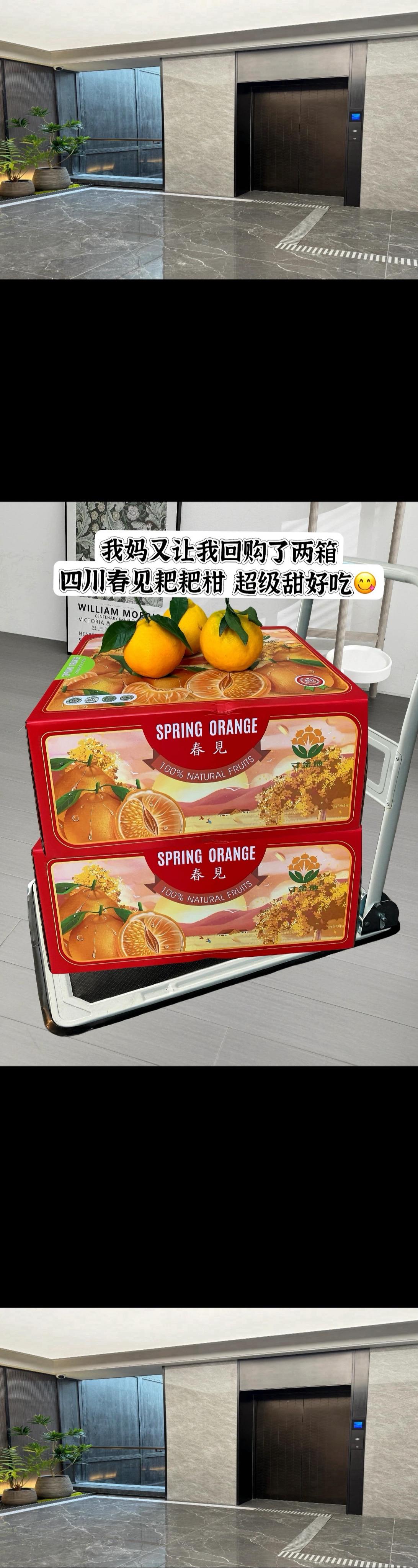 我妈又让我回购了三箱春见耙耙柑，真的巨甜巨好吃 爆甜多汁的春见耙耙柑～...