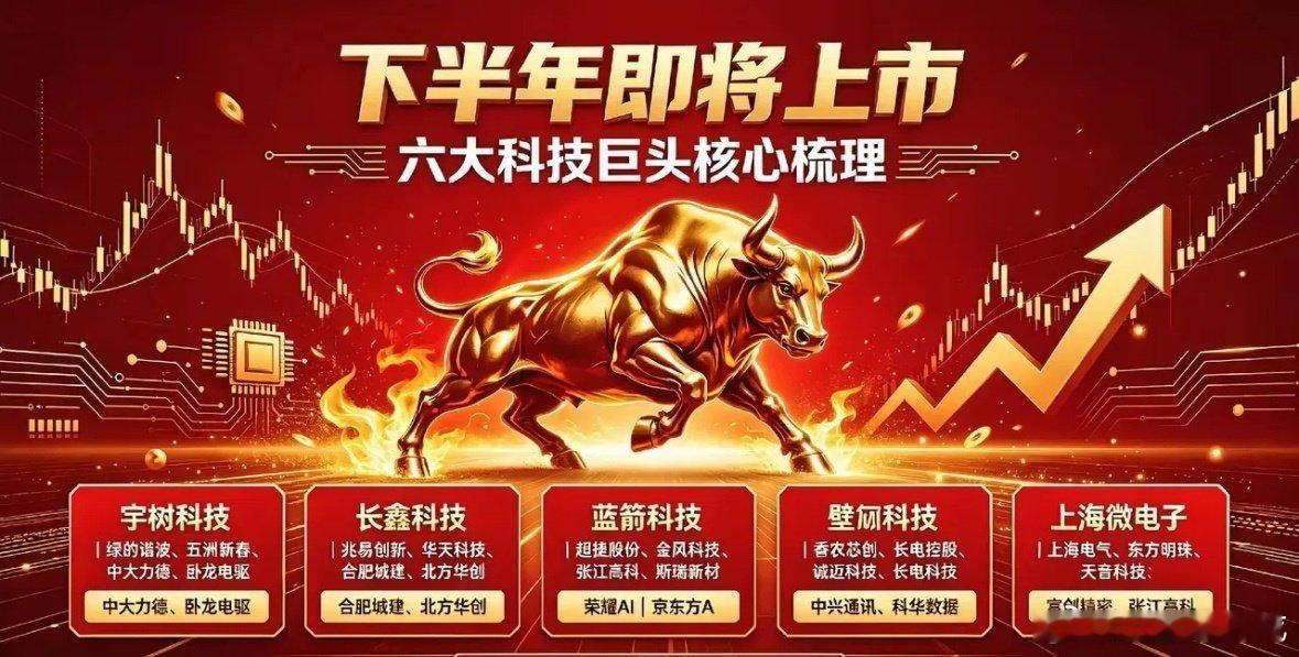 2026下半年即将上市十大科技巨头完整梳理一、十大科技巨头总表1、长鑫存储（长鑫