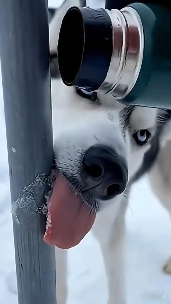 生活里总会碰到不讲道理的人，真让人头大。就说我邻居，非说我门口鞋架挡道，解释几次