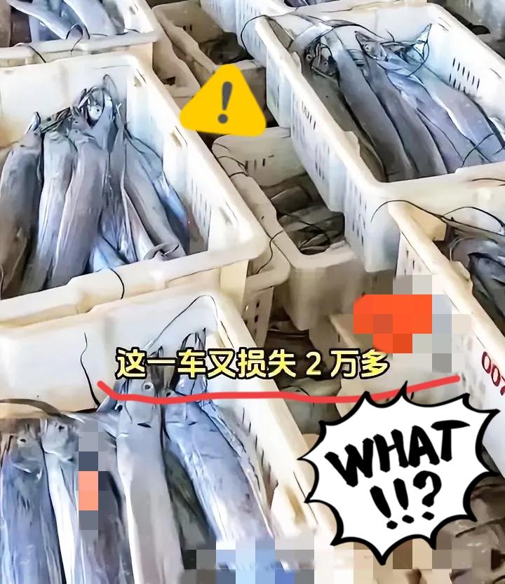 今年中秋，资本算是彻底看懂了：年轻人不是没钱，是不吃“花架子”那套了！
 
高价
