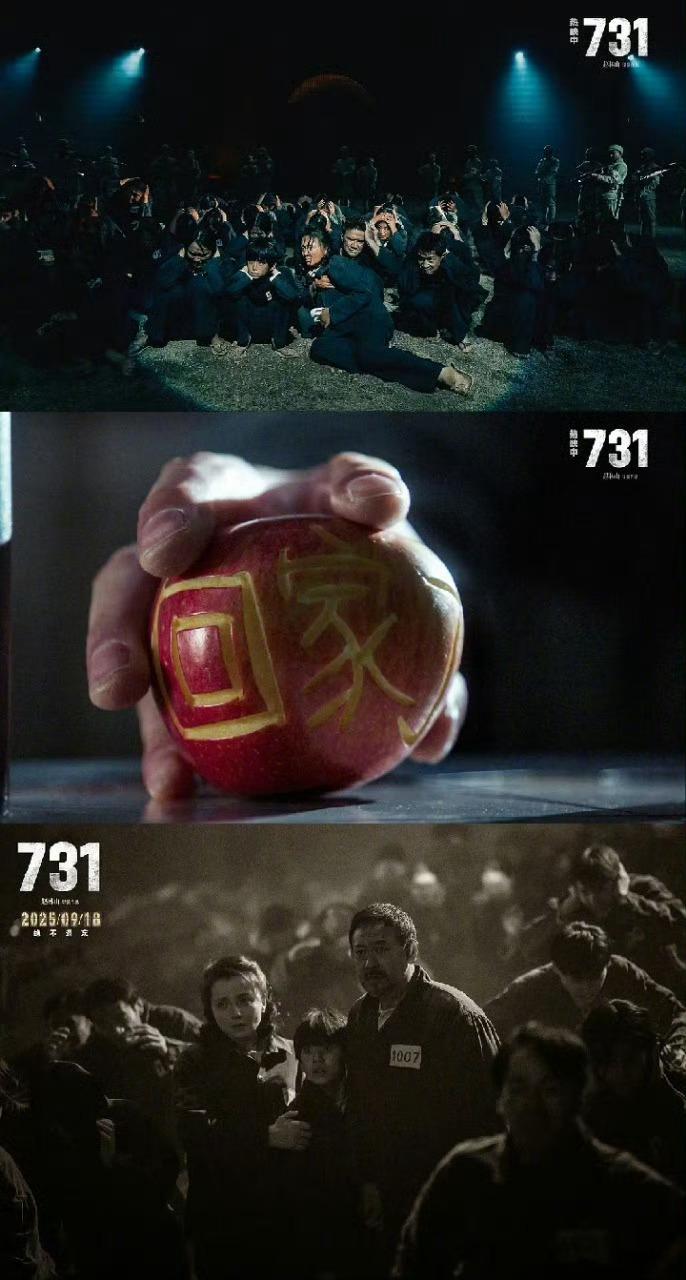 如果这就是731的结局该有多好《731》里王子阳的幻想，是所有受难者最卑微的梦。