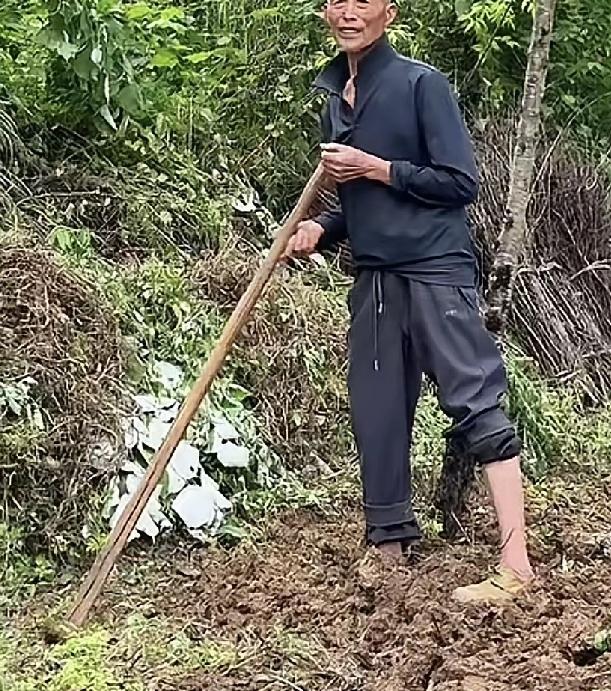 我那个79岁的爷爷，每天就喜欢种菜和骂人，每天都是一大早起床，先到他的菜地里面弄