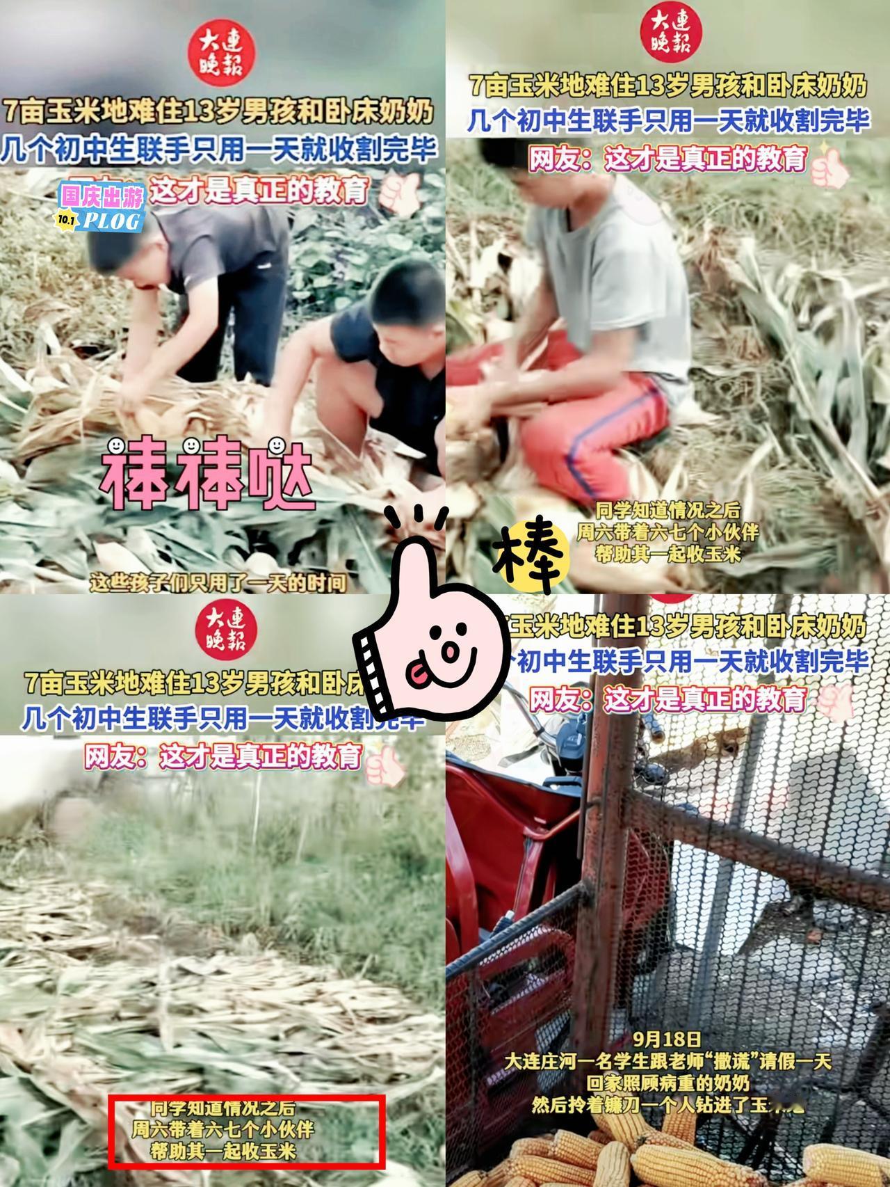 谁看了不竖大拇指！
 大连一13岁男孩跟着奶奶过，突然跟老师请假一天，不是想偷懒