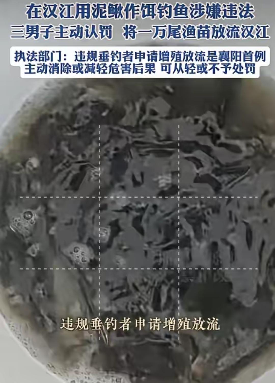 湖北襄阳，3名钓鱼人在汉江钓鱼的时候，挂泥鳅钓，结果被渔政工作人员逮了个正着，罚