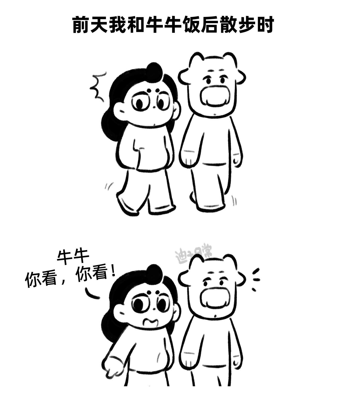 总要有人来做浪漫的生活家。
