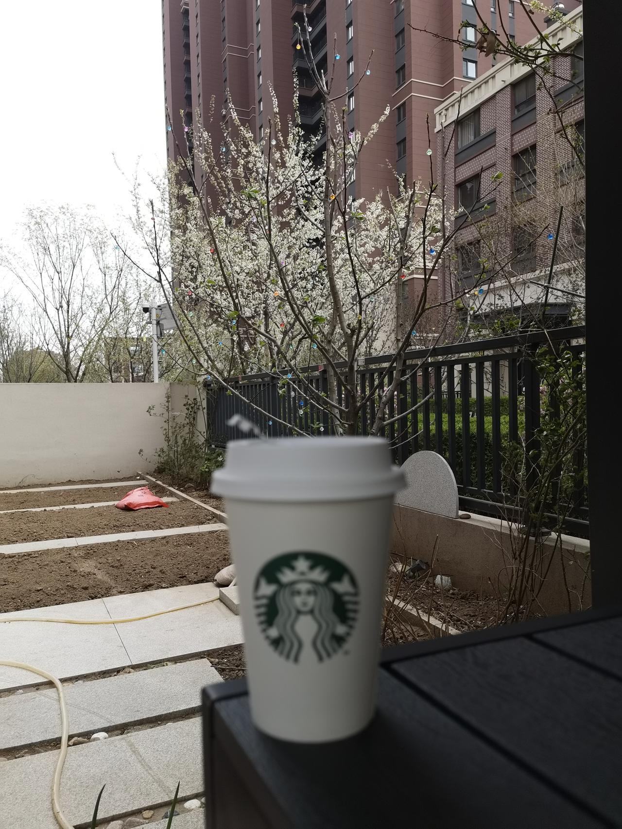 今年的翻大地工作胜利完成