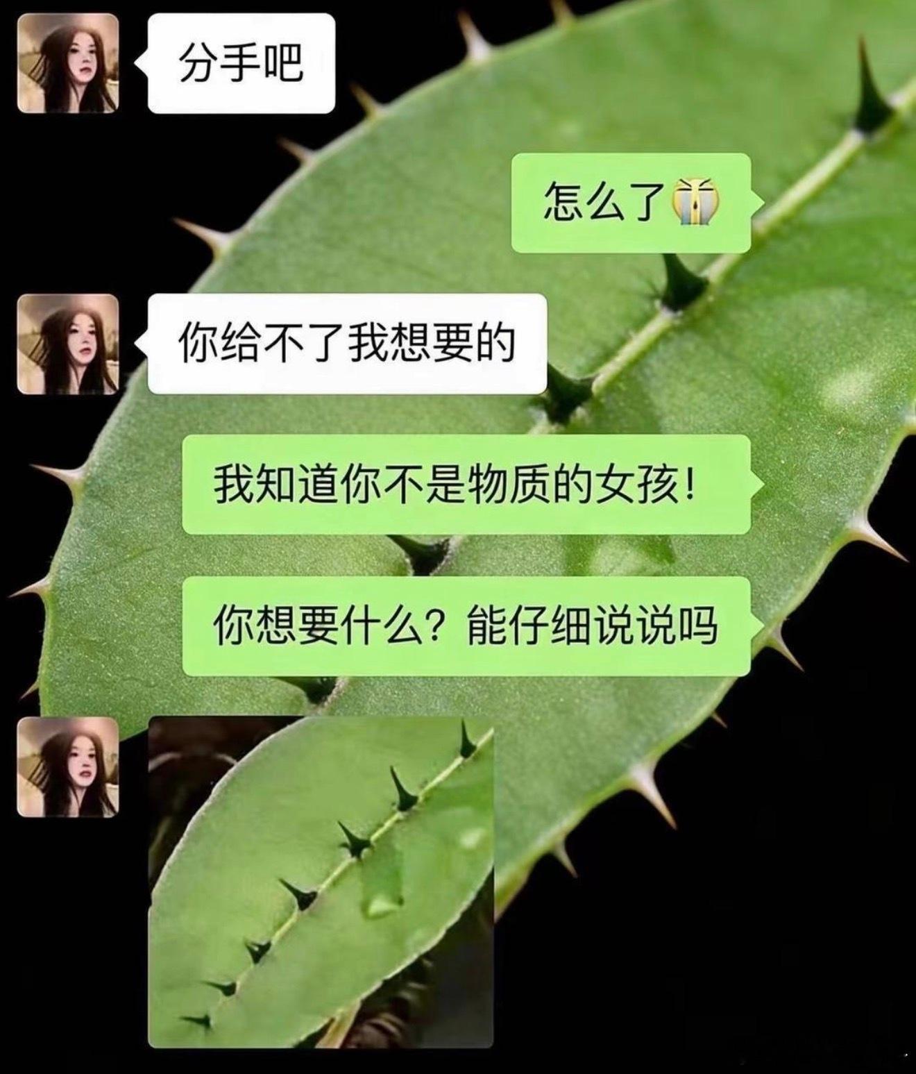 女朋友到底为啥跟我分手