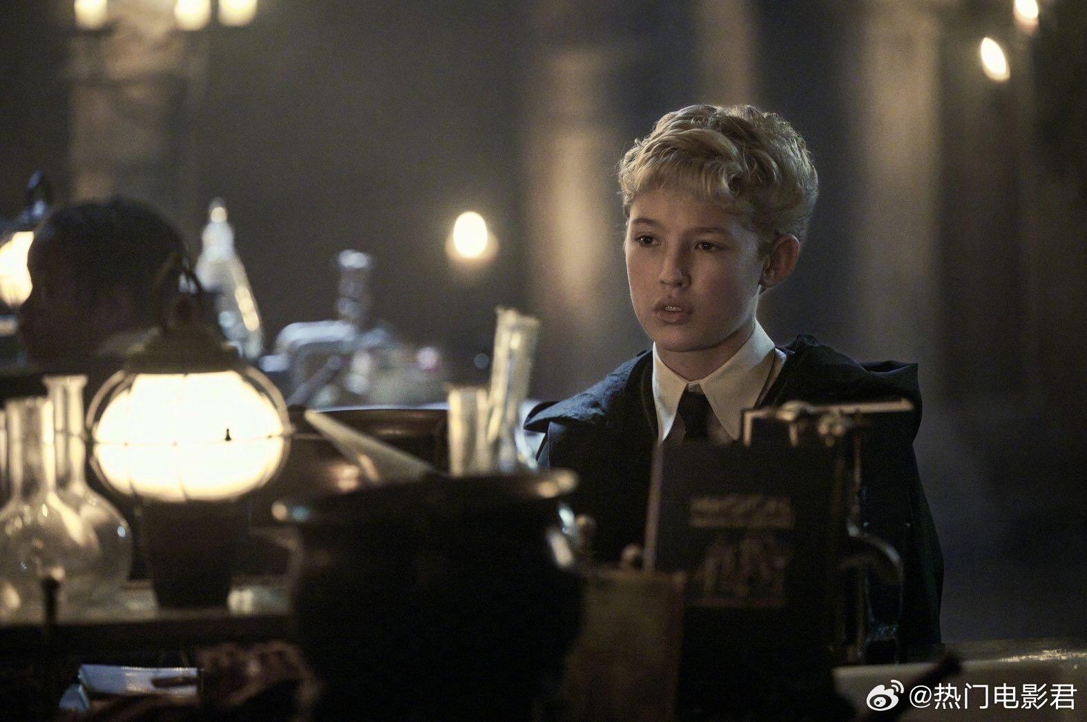 这两个人😂一拳可以打S哈利波特的程度。。。 