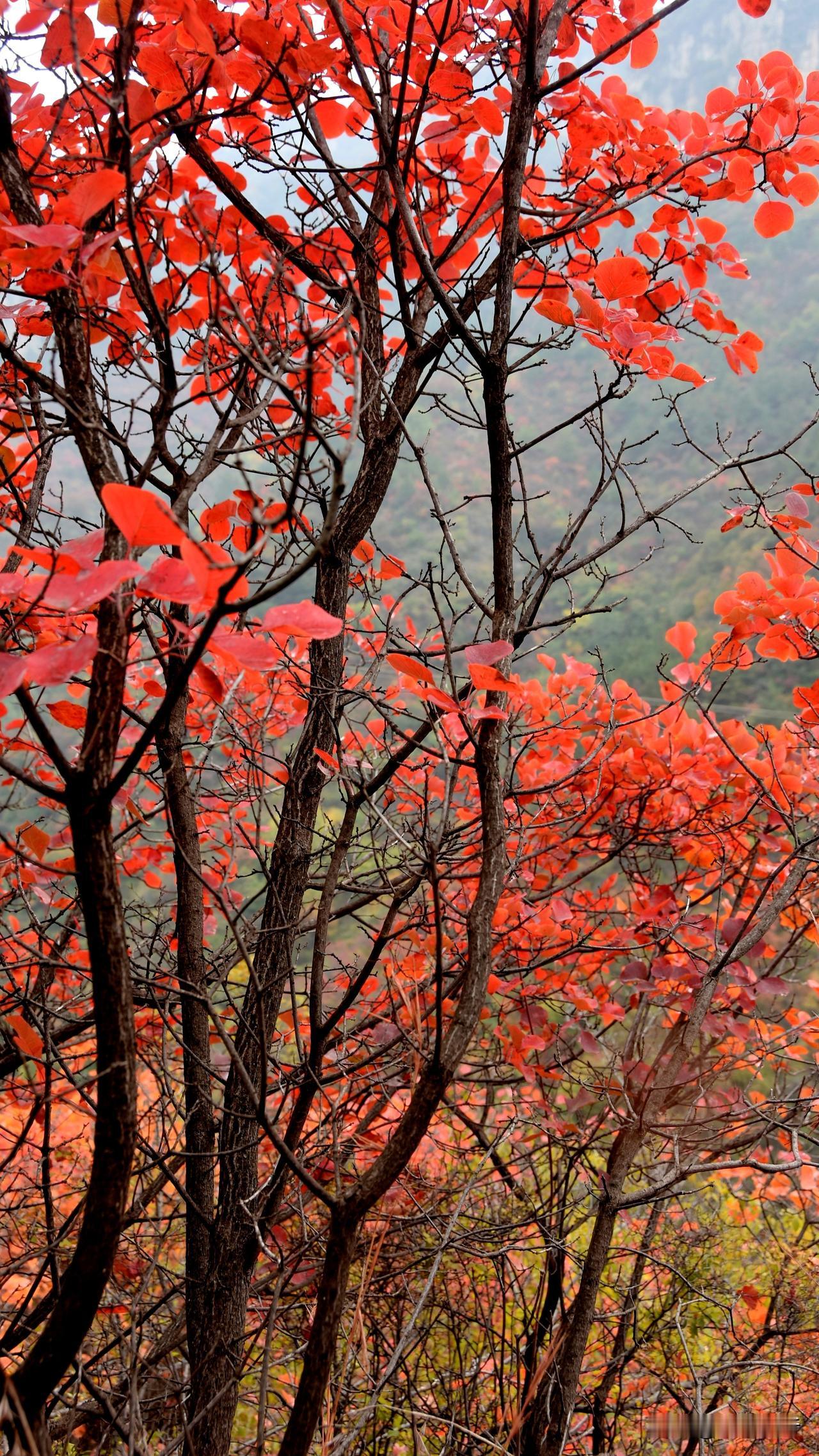 记录•太行一日