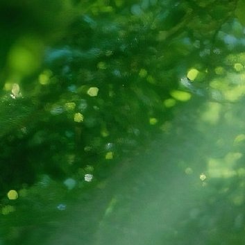 每一次努力，都是幸运的伏笔。当努力到一定程度，幸运自会与你不期而遇。当你的才华还