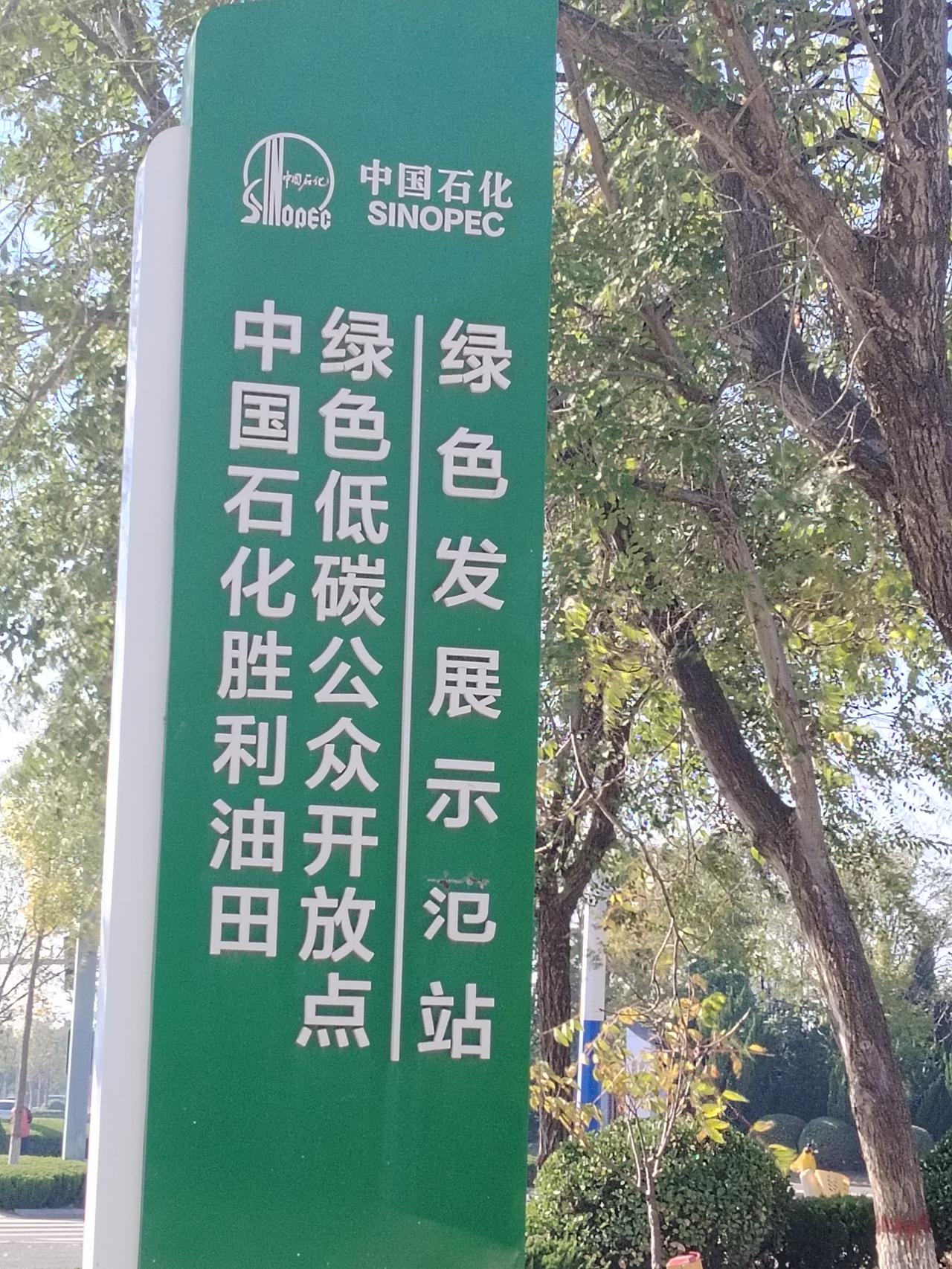 前年七月份，我同学来东营聚会，我就想东营有哪些地方能去呢？
    黄河入海口看