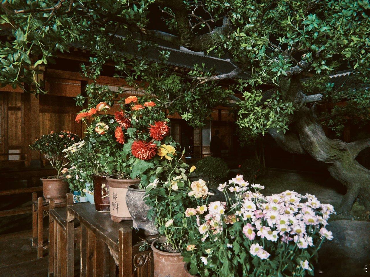 辛云来明月录胶卷照  谁懂啊！辛云来《明月录》这组胶卷照也太有活人感了吧！片场里