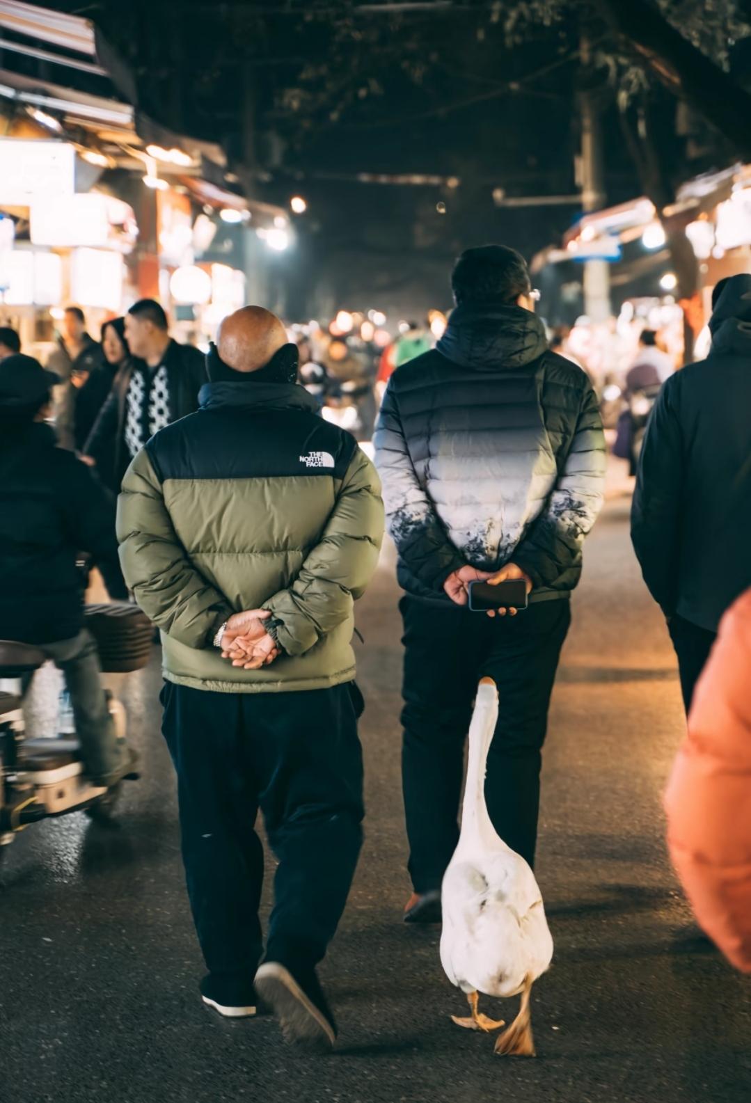 到底谁学谁？
走路姿势咋那么像呢？

悠哉悠哉，
左右摇摆，
闲庭信步，
逍遥自