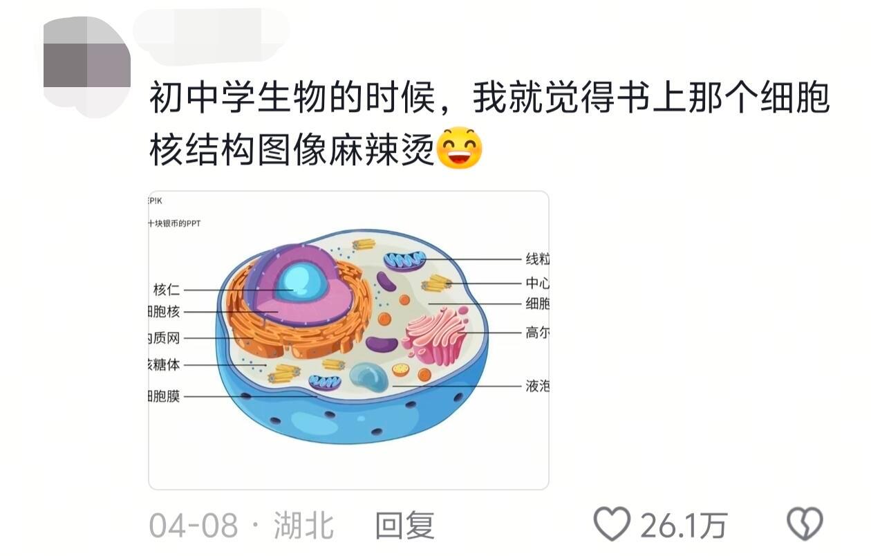 笑点低的上不了一点学哈哈哈哈 