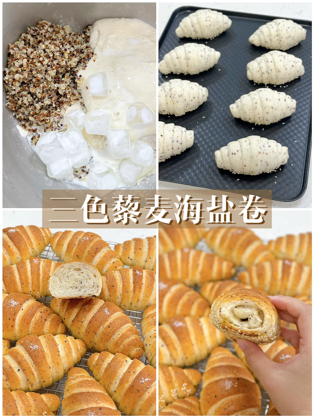 营养丰富‼️三色藜麦海盐卷🥐外脆内软超好吃