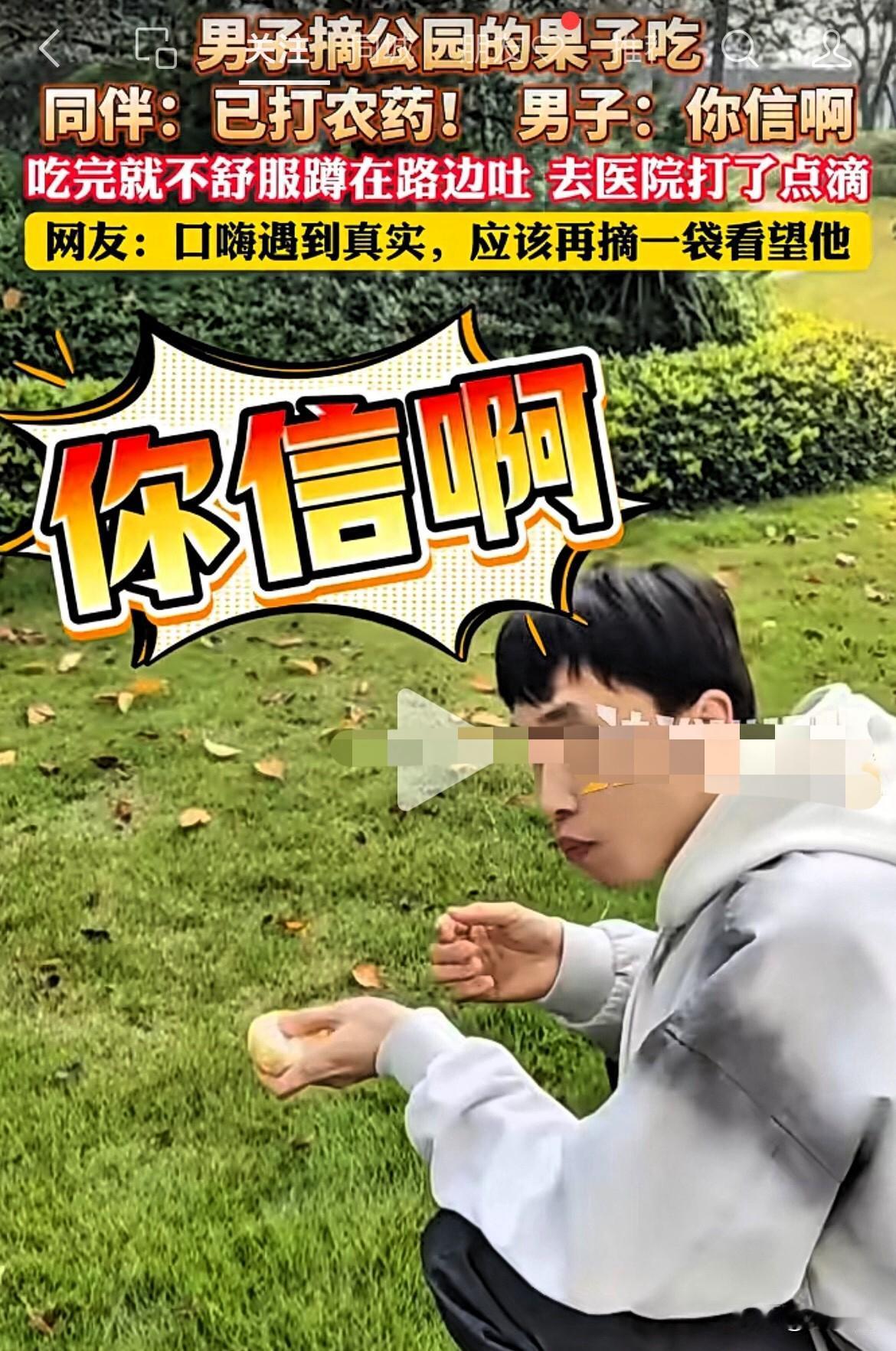 真是报应来的太快！四川，男子路过公园，看见树上挂着金灿灿的果子，二话不说就伸手开