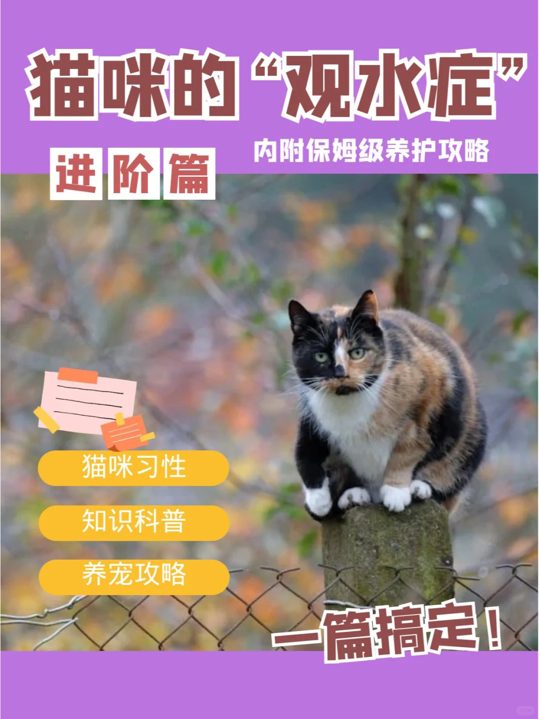 猫咪的“观水症”到底是什么？ 	 如果猫咪频繁靠近水盆，但是却不会主动...