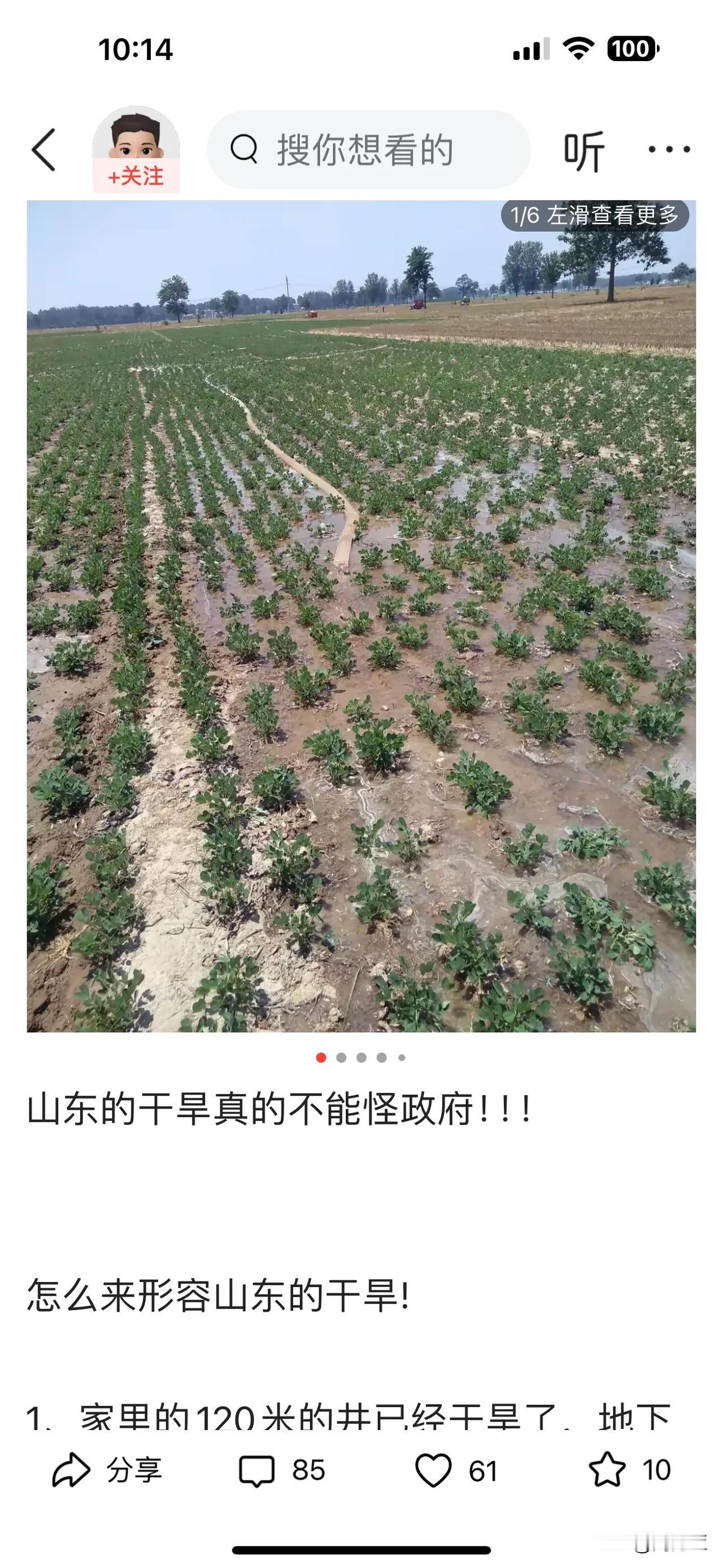 今天上午的头条为什么全部都是推送干旱的？

这是一个网友发的，坐标山东某县，说刚