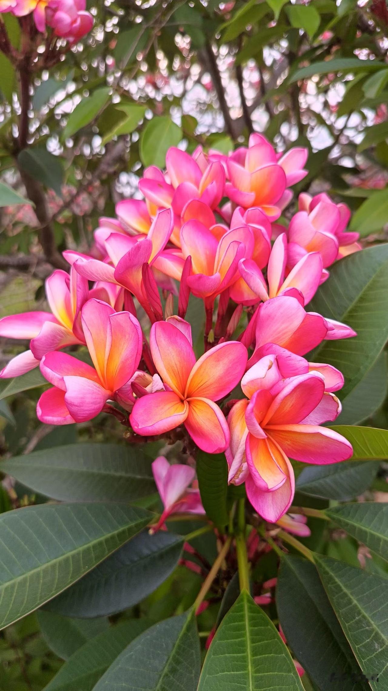 路过的风景，
随手按下快门键。

原来最美的，
从来不是刻意奔赴，
而是不期而遇