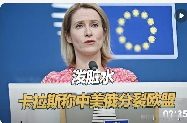 当地时间：2026年5月17日，在爱沙尼亚塔林“伦纳特·梅里安全会议”上，欧盟外