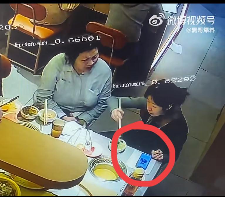 女子吃火锅不小心把手机掉锅里，找老板索赔 1 万，还辱骂服务员，这有道理吗？年轻