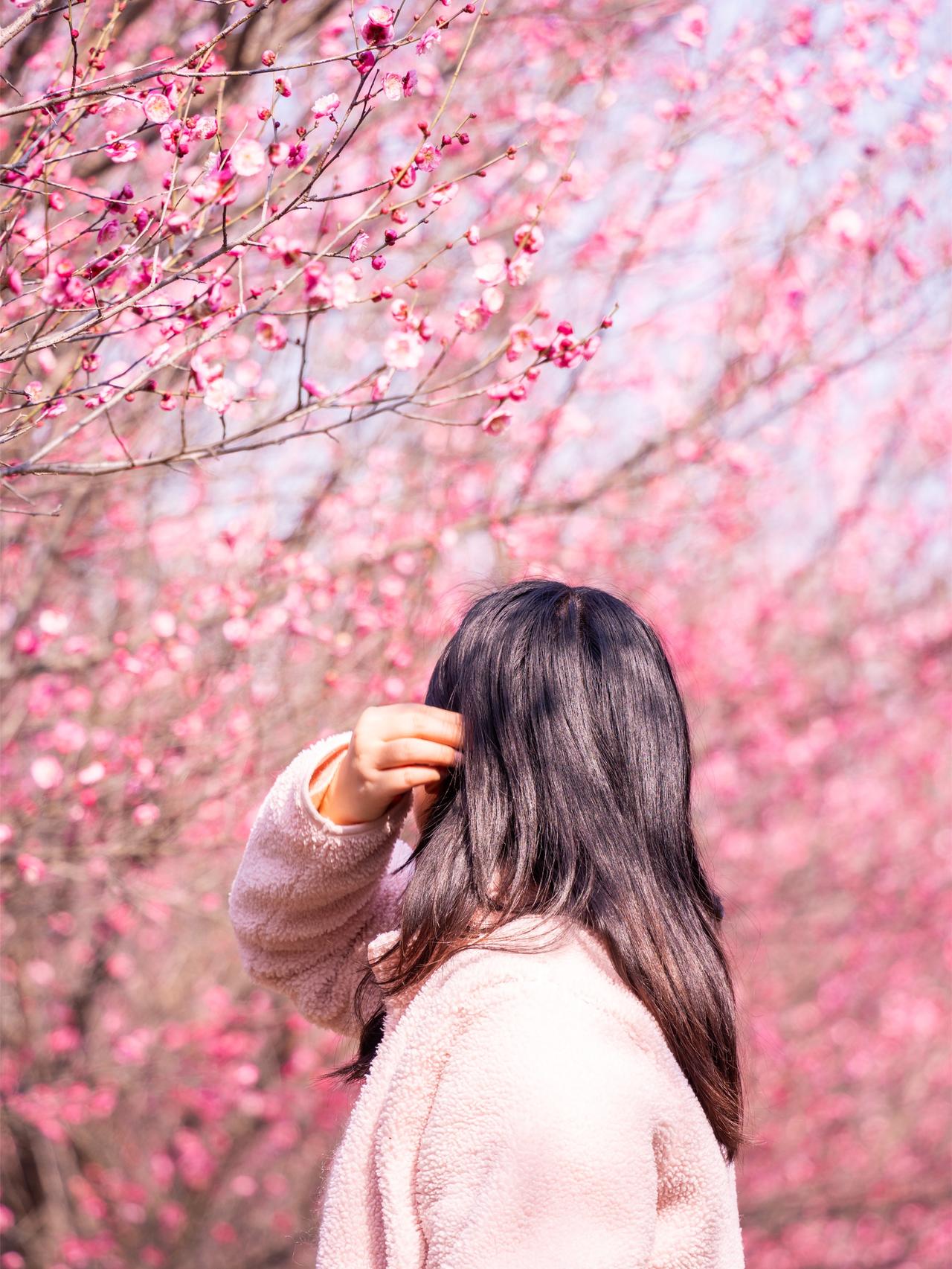 武汉初雪后，来这里赏梅呀~
武汉初雪后，梅花迎来盛花期。是时候get曦光林屿森约
