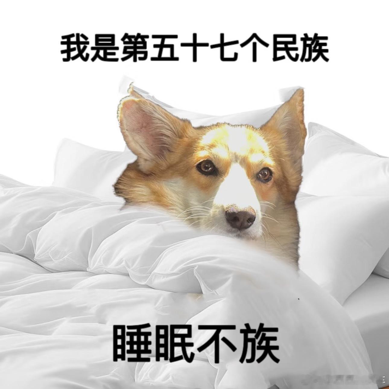 长期睡眠不足的人有7个表现刷到这条的你火速去睡觉！[捂嘴哭][捂嘴哭][捂嘴哭]