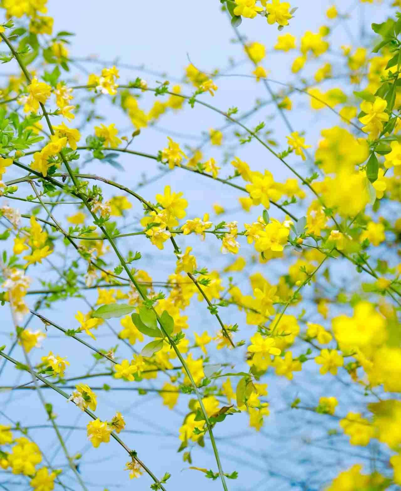 我的今日状态：😁轻松愉快
我这里的天气：☀️晴天