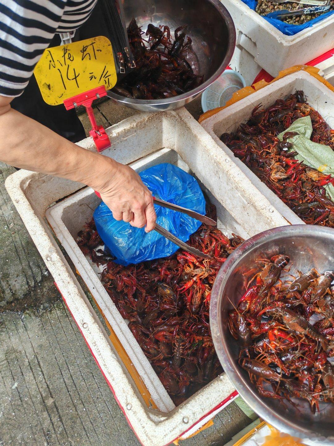 小龙虾14一斤，个头不大。 