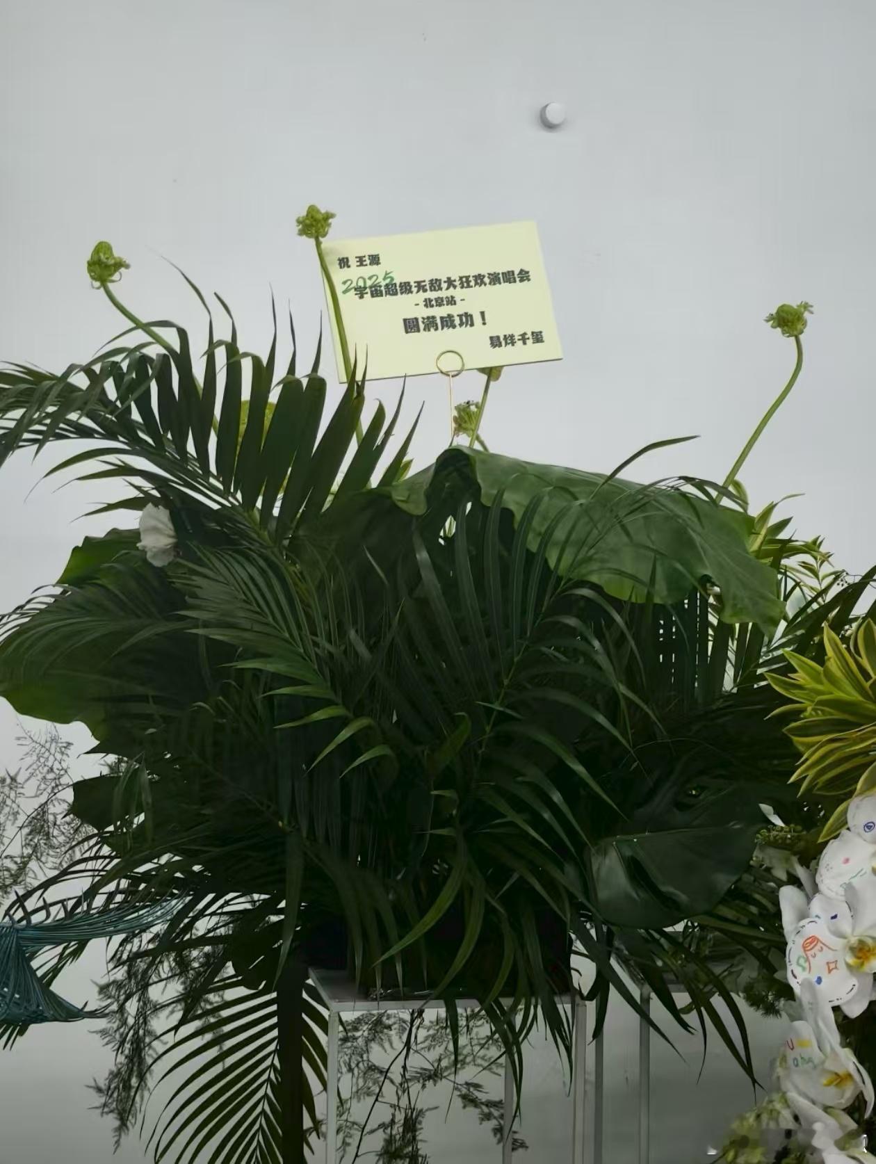王俊凯易烊千玺祝福王源北京站、王俊凯易烊千玺一起送王源花篮 王俊凯易烊千玺一起送