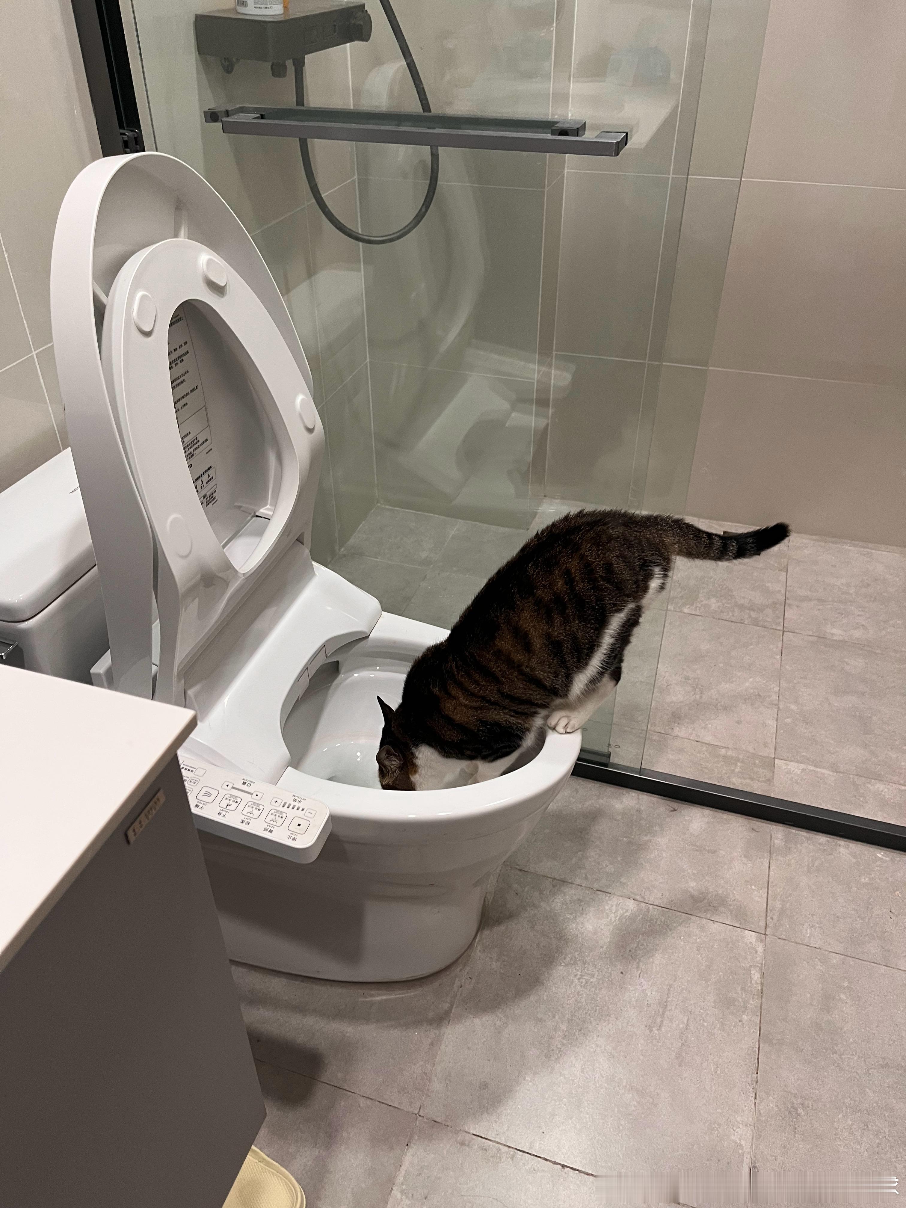 。 