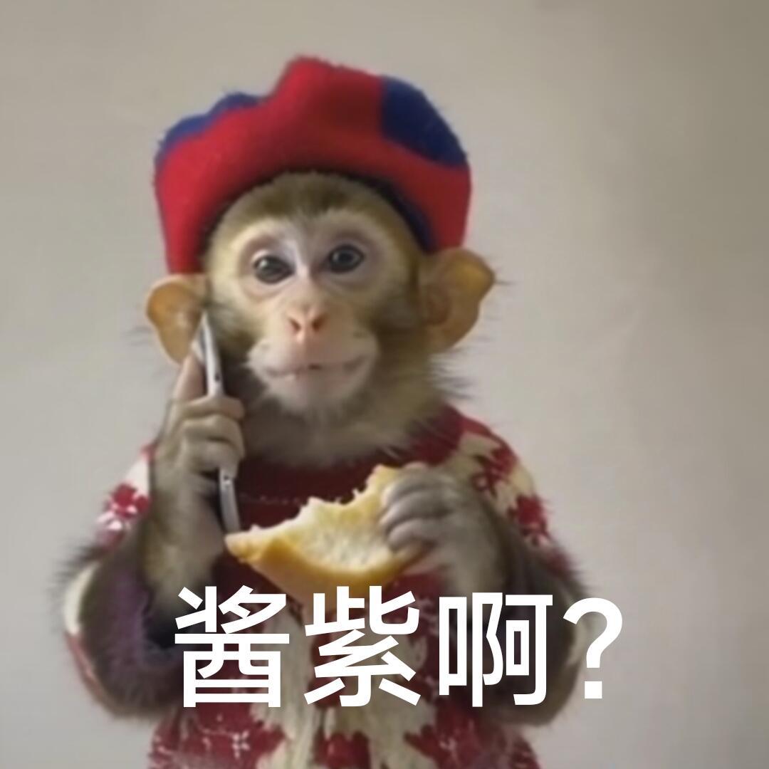 哦，酱紫啊？吗喽表情包来袭🐵 