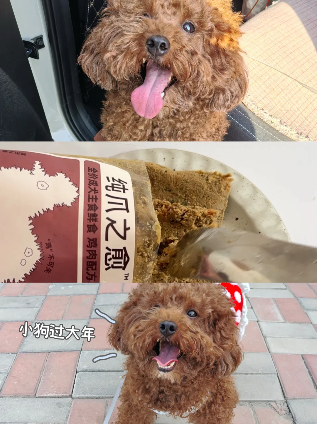 小狗过大年🏮吃上好吃的鲜食年夜饭啦！