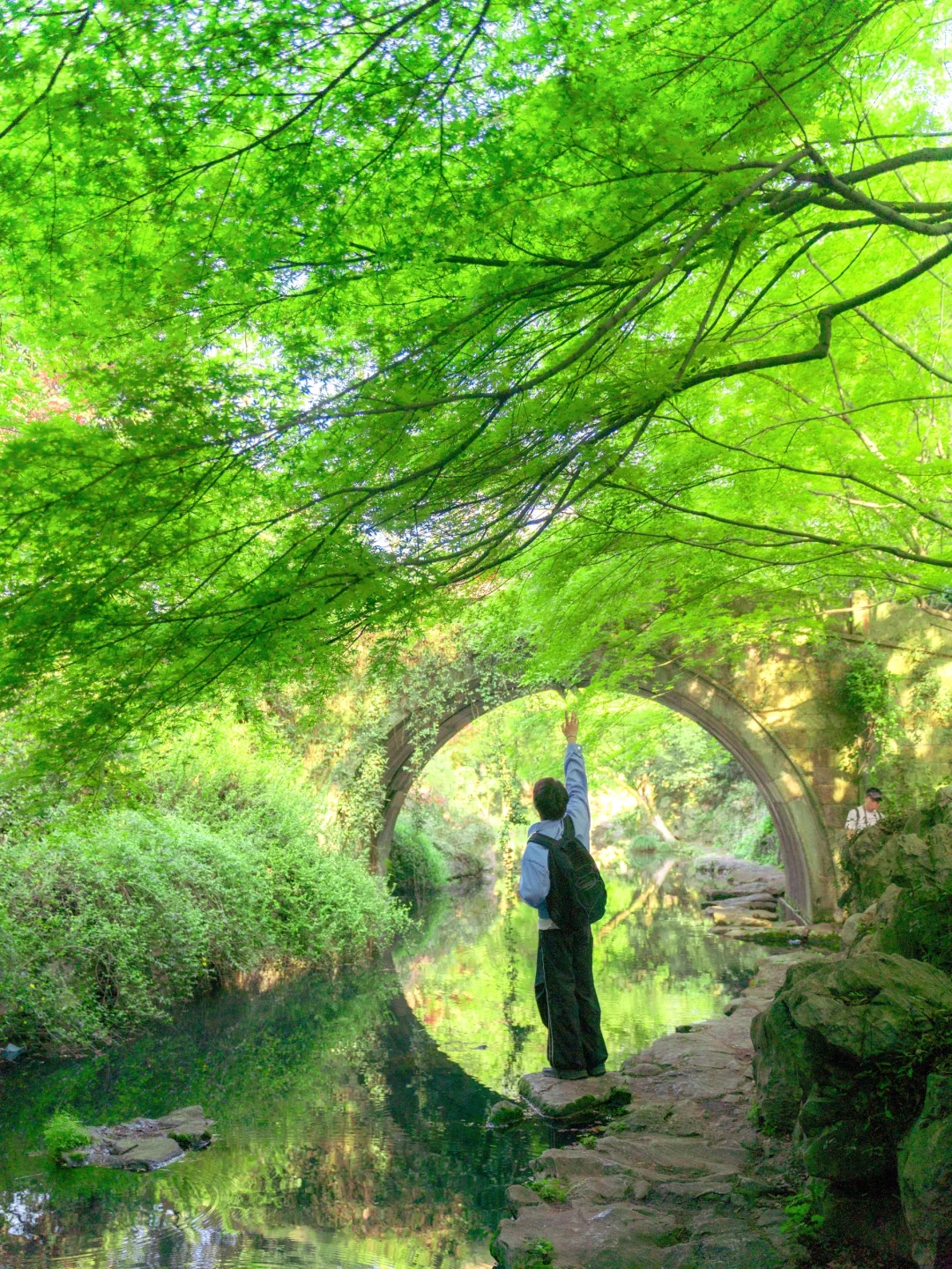 五万人围观的西湖边小众拍照地❗今天他来了