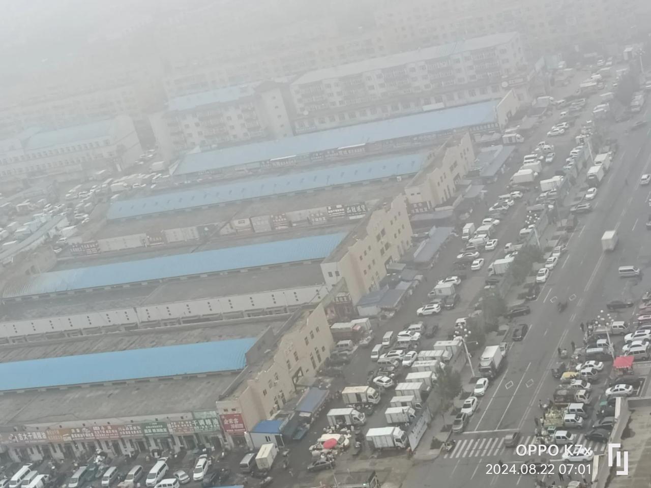 #一句话分享秋日感悟#黑龙江才是真正的秋，秋凉凉，秋就是个秋样。
