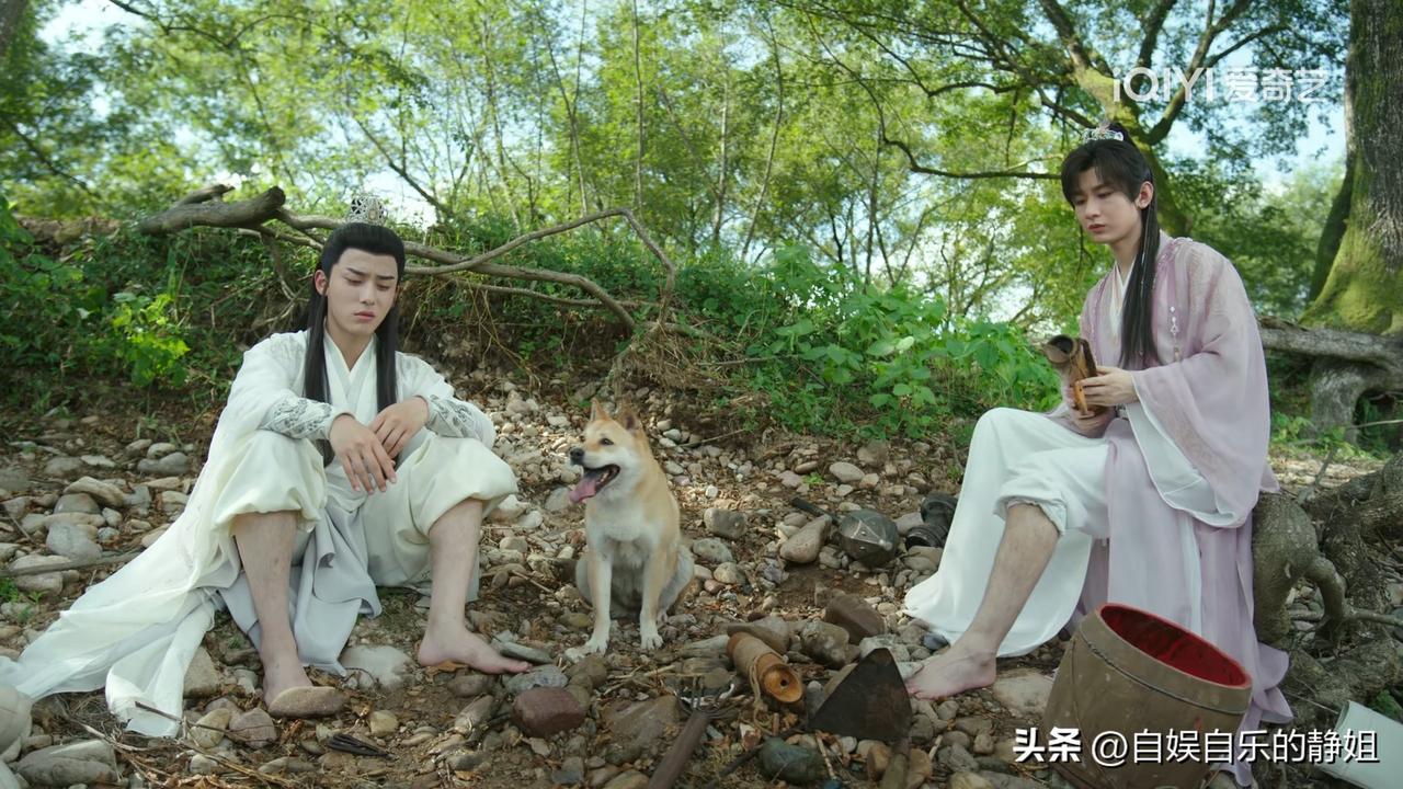 《赴山海》的河边出现的大黄是不是《莲花楼》的狐～狸～精呀？

由成毅主演的《赴山
