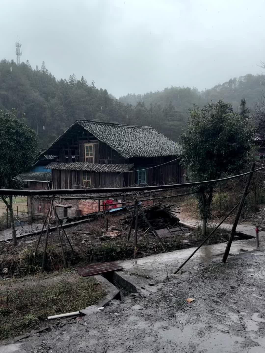 来到小时候长大的地方 路还是那条路 可是我的养母却老了 每多一条皱纹 ...