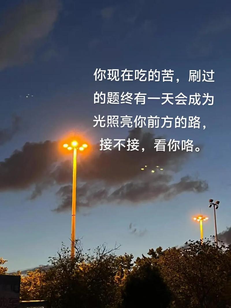 现在偷的懒，都会变成未来的坎；当下吃的苦，终会照亮前行的路。