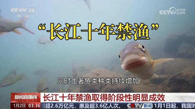 大家都盼着长江禁渔能让鱼群重新回来，没想到四川沱江里先出现了让人意外的一幕：一种