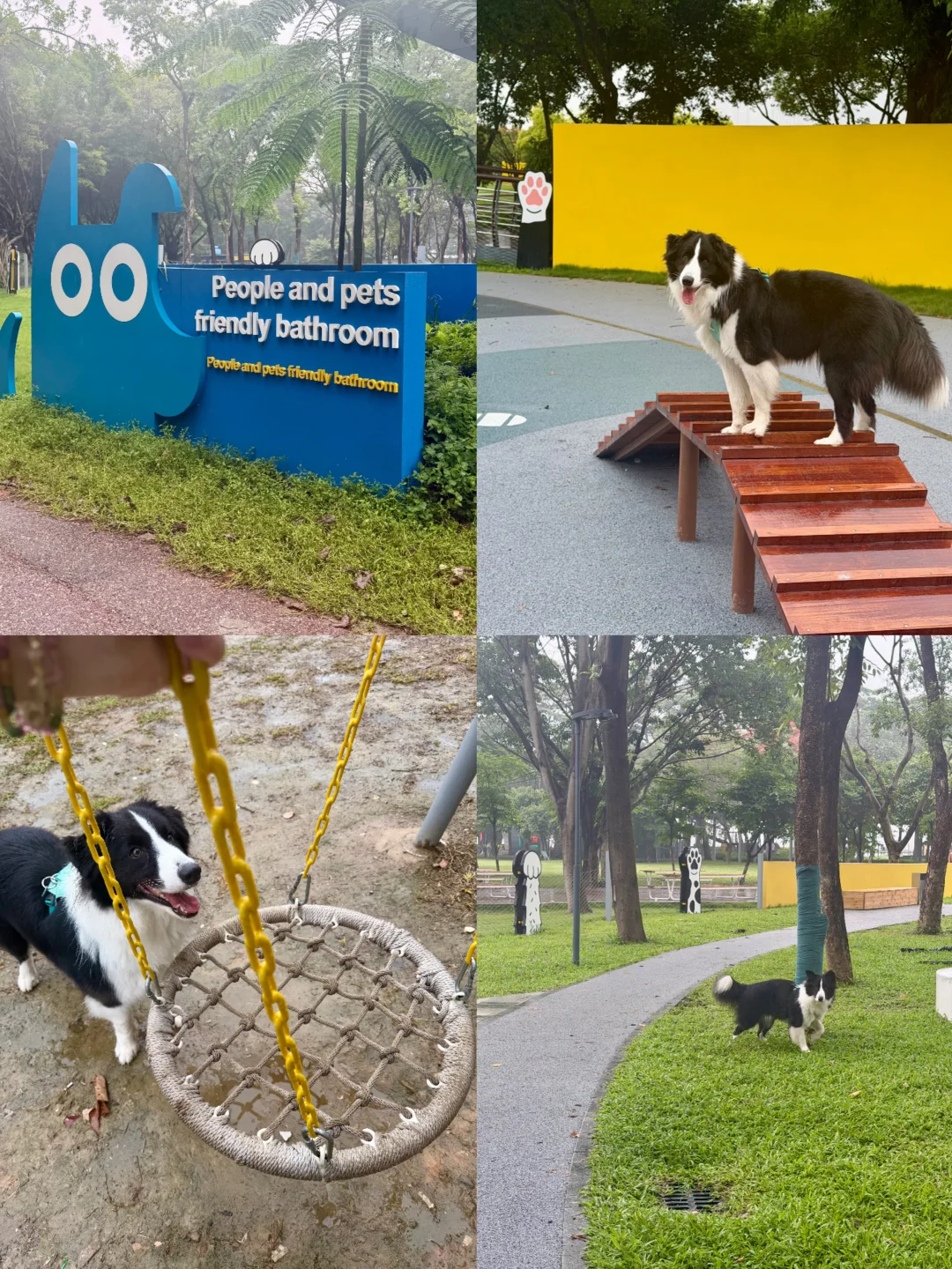 （免门票🆓❗）广佛遛狗宝藏乐园🐶