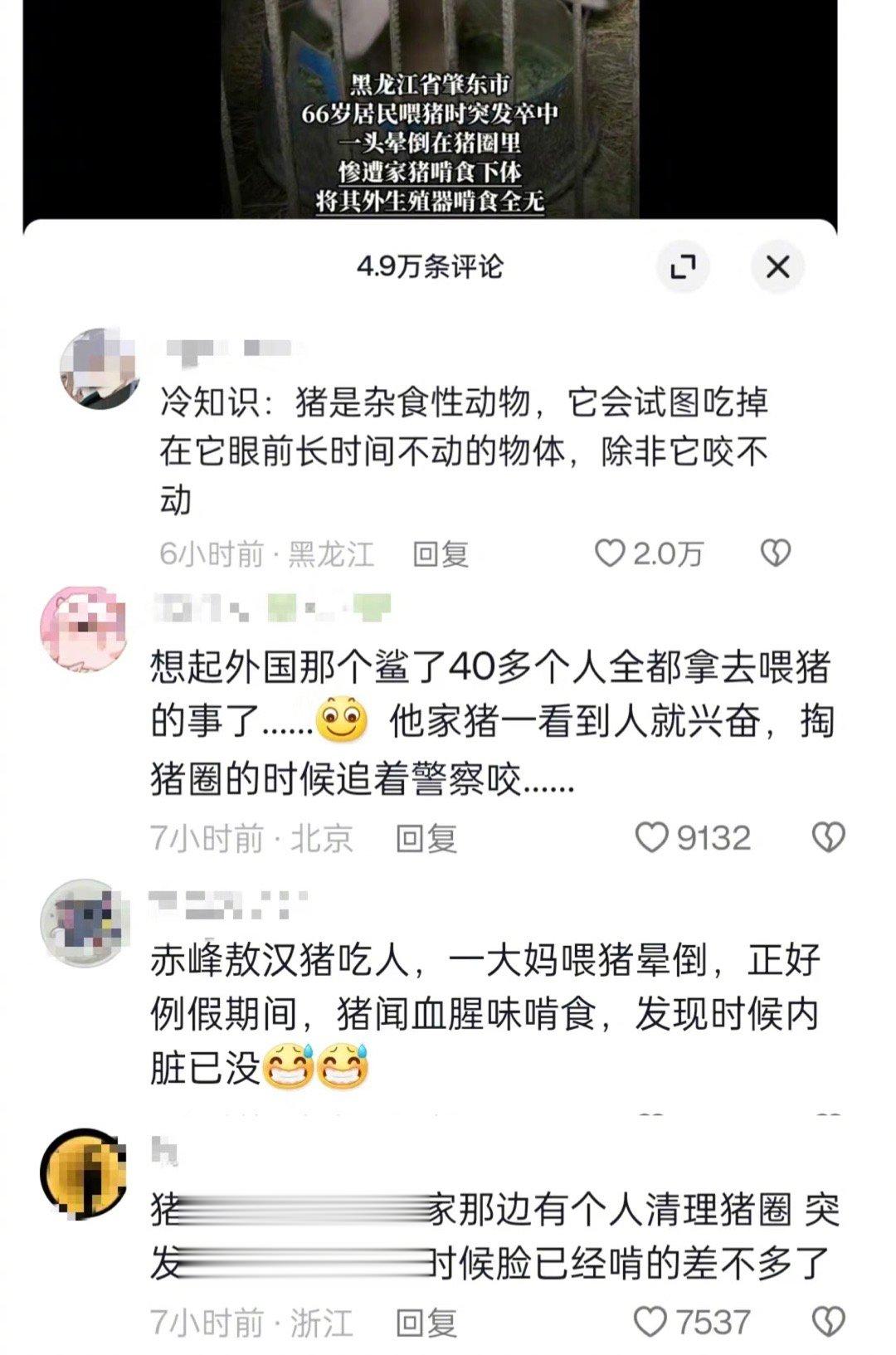 。。。吓拥了😟知道猪是杂食性动物。。。但是它居然也吃人吗。。。。🥶🥶🥶 