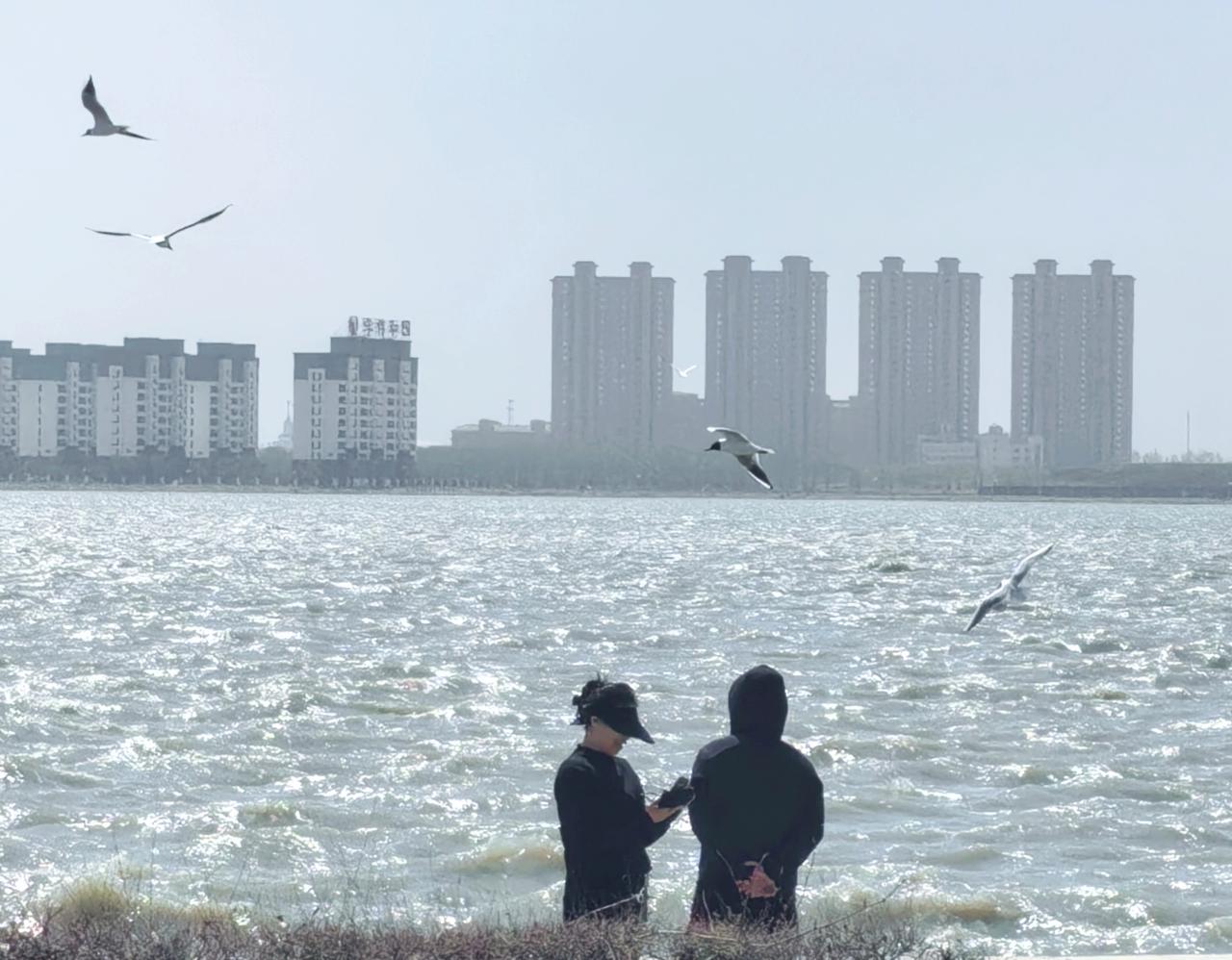 别光瞅南方，东北也藏着养生顶流城，只是受气候限制，“瘸子里拔大个”就属它，两条它