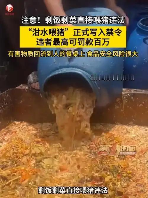 万万没想到！农村喂猪的老习惯，如今竟是违法行为

很多农村人根深蒂固的认知：剩饭