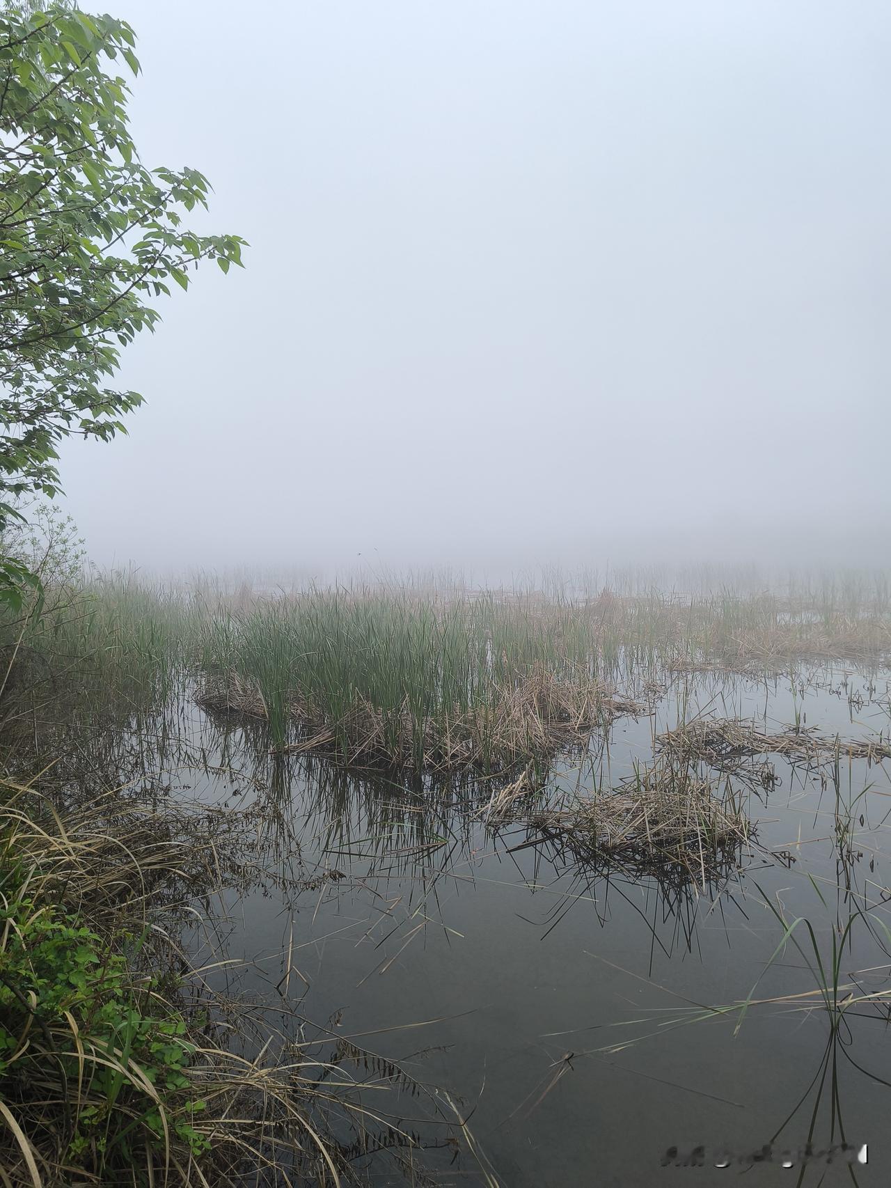 第一次在大雾天开车，真是心惊肉跳！
    
      昨天早上五点，闹铃准时