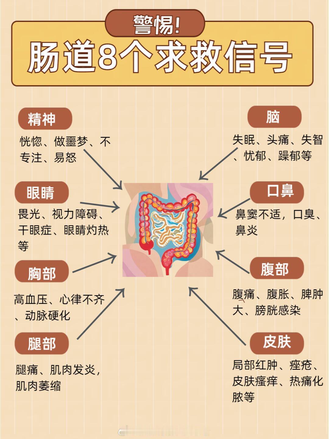 肠道问题不容忽视，这8大信号要注意！ 